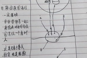  如何设计适合初学者的篮球盖帽训练课程：从基础到精通